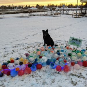 Black dog standing behind a ice orb creation in the shape of Lake Superior